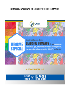 Informe Especial sobre la situación de los derechos humanos de las personas lesbianas, gay, bisexuales, travestis, transgénero, transexuales e intersexuales (LGBTI) en México