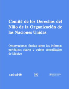 Comité de los Derecho del Ni{o de la Organización de las Naciones Unidas