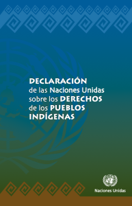Declaración de Naciones Unidas sobre los Derechos de los pueblos indígenas