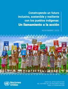 Construyendo un futuro inclusivo, sostenible y resiliente con los pueblos indígenas