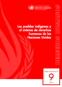 Los pueblos indígenas y el sistema de derechos humanos de las naciones unidas