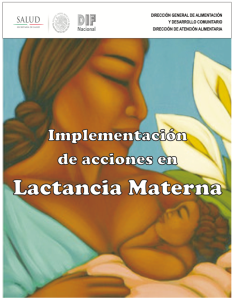 Implementación de acciones en lactancia materna