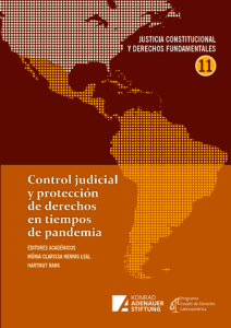 Control judicial y protección de derechos en tiempo de pandemia